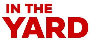 In the yard